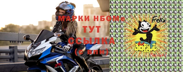 индика Гусиноозёрск