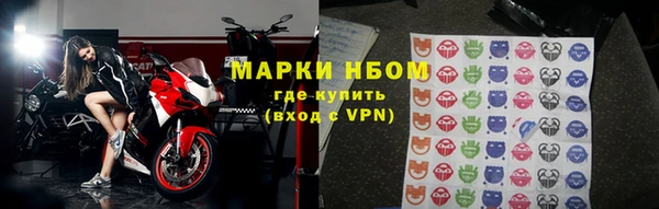 индика Гусиноозёрск
