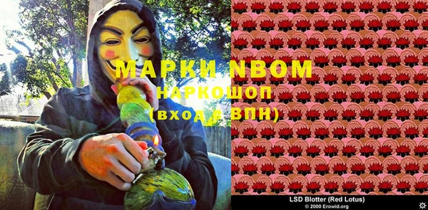 индика Гусиноозёрск