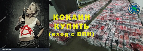индика Гусиноозёрск