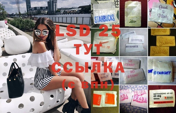 индика Гусиноозёрск