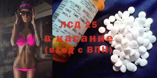 индика Гусиноозёрск