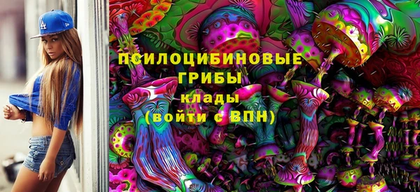 индика Гусиноозёрск