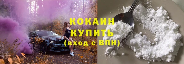 индика Гусиноозёрск