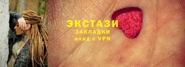 индика Гусиноозёрск